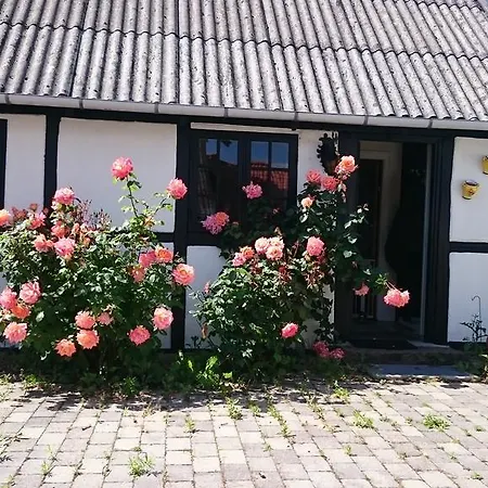 Dåstrup Bed&Breakfast-3